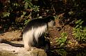 dierentuin emmen_0943